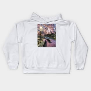 Central Park Rainy Spring Kids Hoodie